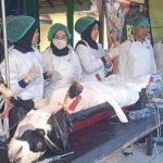 The Vital Role of Basic Cardiac and Trauma Life Support Skills for Nurses and Nursing Students